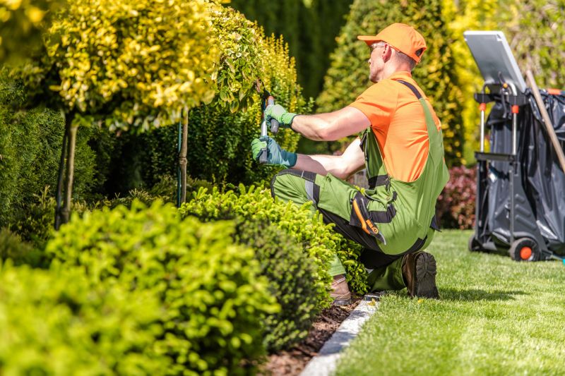 Bush Landscaping Service detail