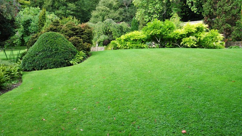 Grass Patching in Honolulu, HI