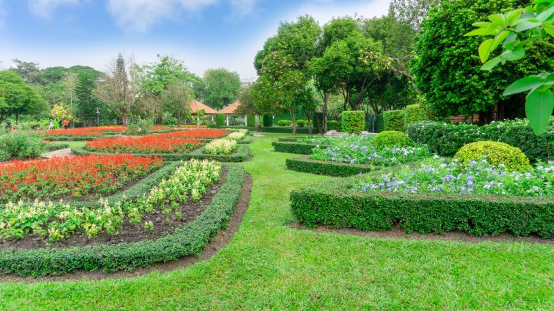 Hedge Installation in Honolulu, HI